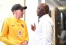 Mokatisi wa Chiefs wa Maloba o Latelela Pitso kwa Saudi Arabia